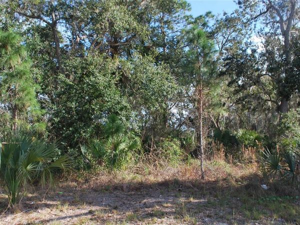 S RIDGEWOOD AVENUE, EDGEWATER, FL 32141