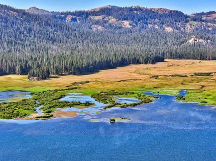 804 Fiberboard Road, Sierraville, CA 96126 Photo