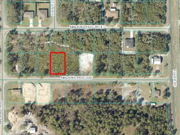 0 MALAUKA PASS WAY, OCKLAWAHA, FL 32179