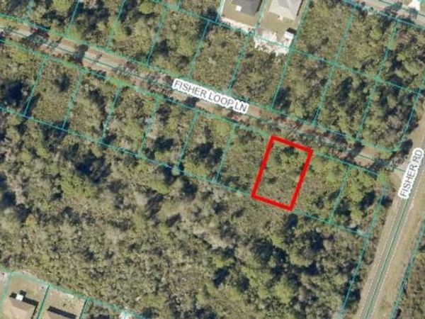 0 FISHER LOOP LANE, OCKLAWAHA, FL 32179