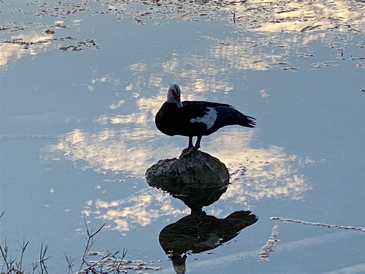 5011 Wiles Rd, Unit 207, Coconut Creek, FL 33073 Photo