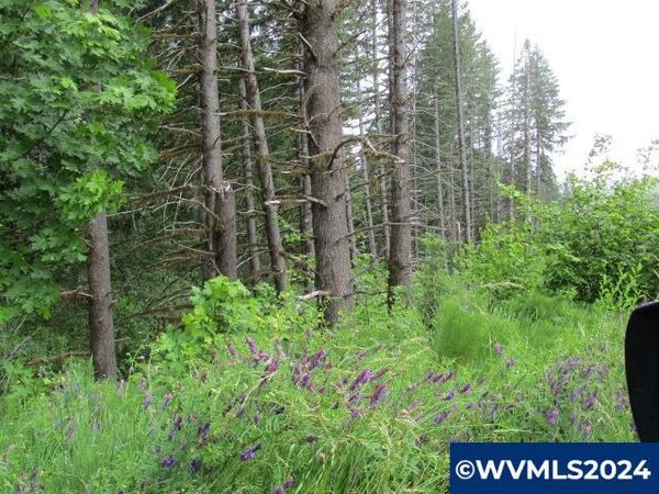 0 NW Fairdale Rd, Yamhill, OR 97148