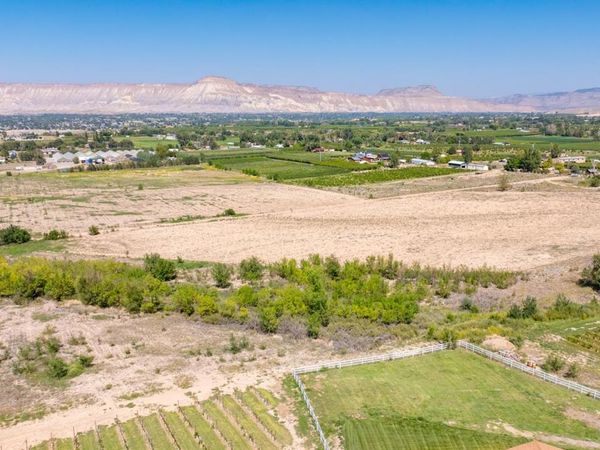 267 33 Road, Palisade, CO 81526