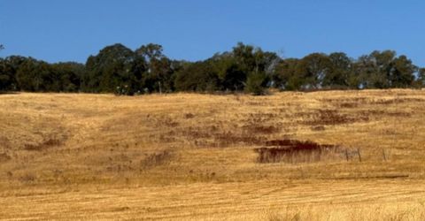 Hollow Oak, El Dorado Hills, CA 95762 Photo
