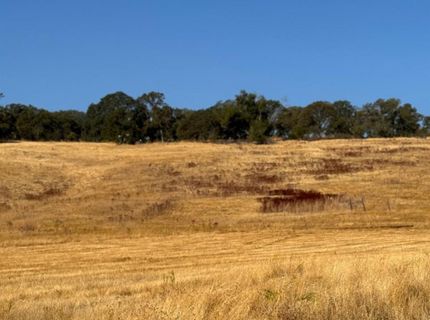 Hollow Oak, El Dorado Hills, CA 95762 Photo