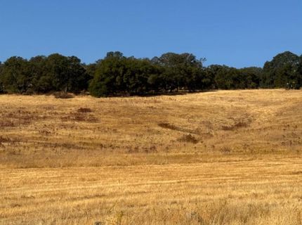 Hollow Oak, El Dorado Hills, CA 95762 Photo