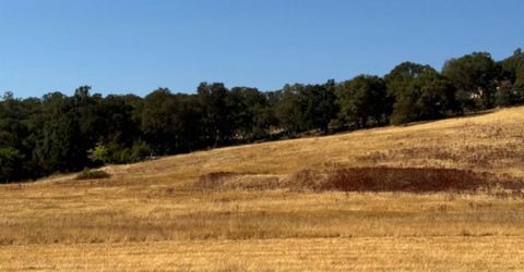Hollow Oak, El Dorado Hills, CA 95762 Photo