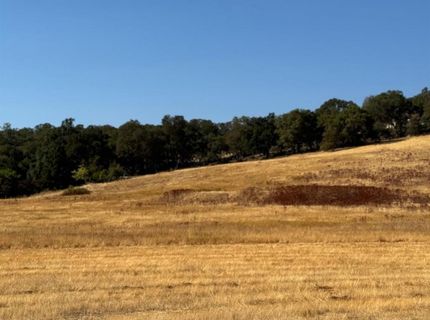 Hollow Oak, El Dorado Hills, CA 95762 Photo