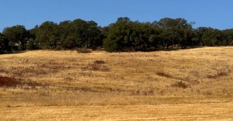 Hollow Oak, El Dorado Hills, CA 95762 Photo