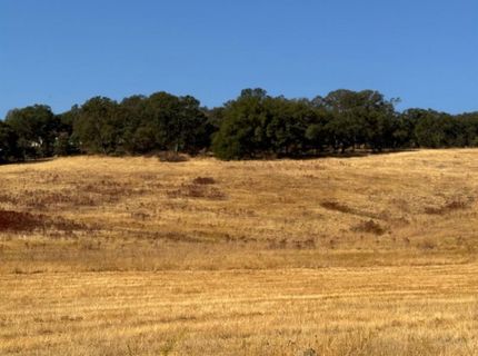 Hollow Oak, El Dorado Hills, CA 95762 Photo
