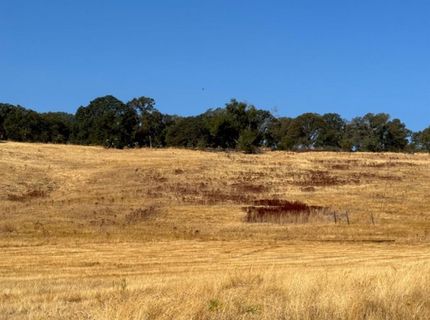 Hollow Oak, El Dorado Hills, CA 95762 Photo