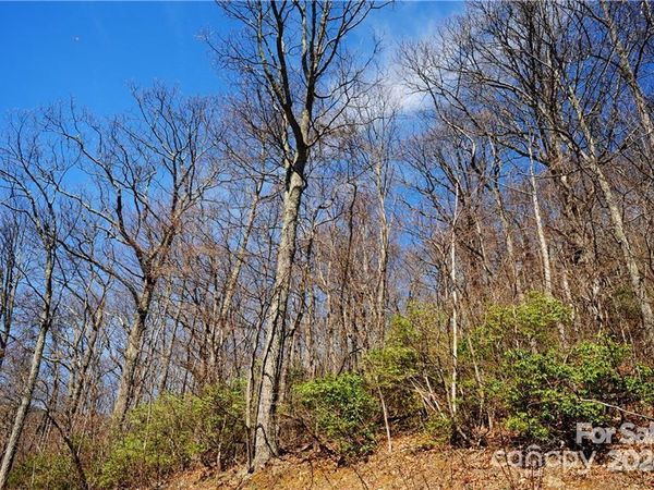 35 Wedgewood Terrace, Black Mountain, NC 28711