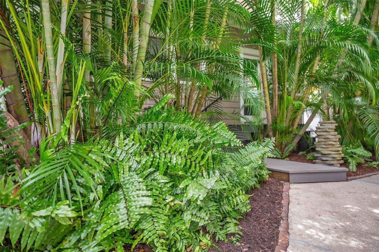 455 13 Th Avenue Ne, Saint Petersburg, FL 33701 Photo