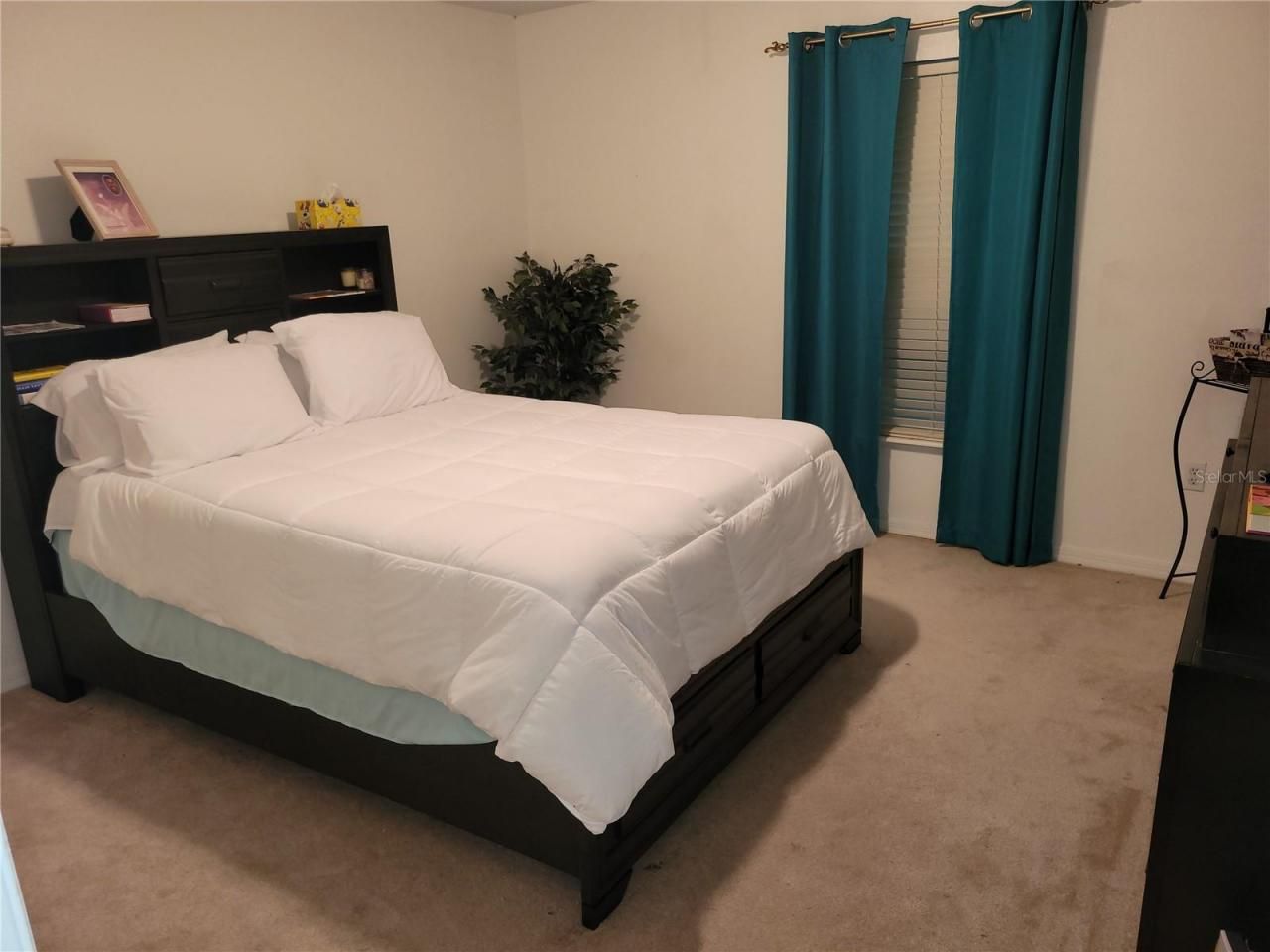 15507 Willet Court, Mascotte, FL 34753 Photo