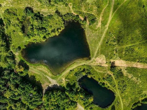 Lot #4 Phillips Road, Holland, NY 14080