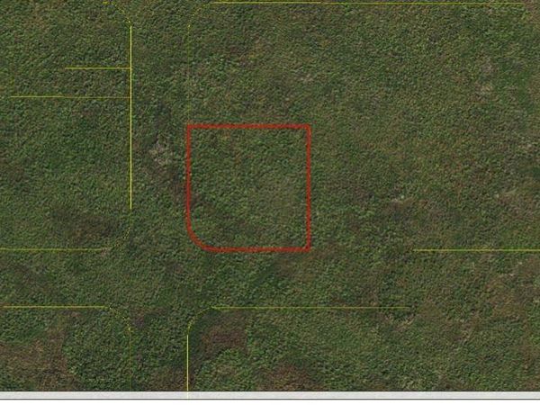 PALMETTO AVENUE, KENANSVILLE, FL 34739