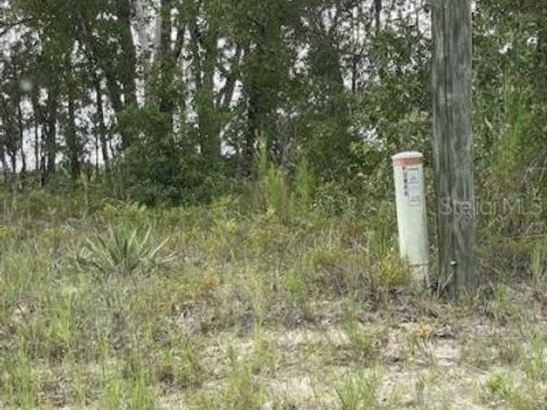 2466 W RUTLAND DRIVE, CITRUS SPRINGS, FL 34434