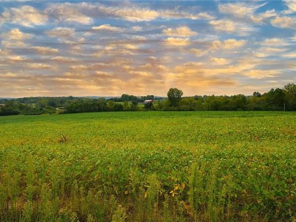 1677 Highway B, Elsberry, MO 63343