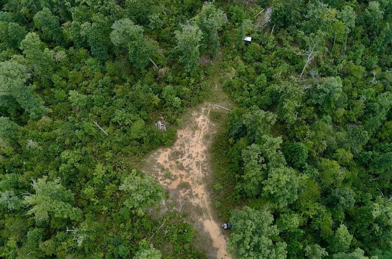 0 Mouse Tail Rd, Parsons, TN 38363 Main Photo