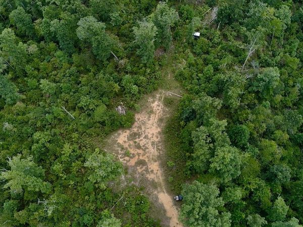 0 Mouse Tail Rd, Parsons, TN 38363