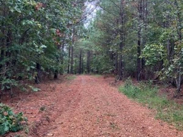 28 Madison CR 410, Fredericktown, MO 63645