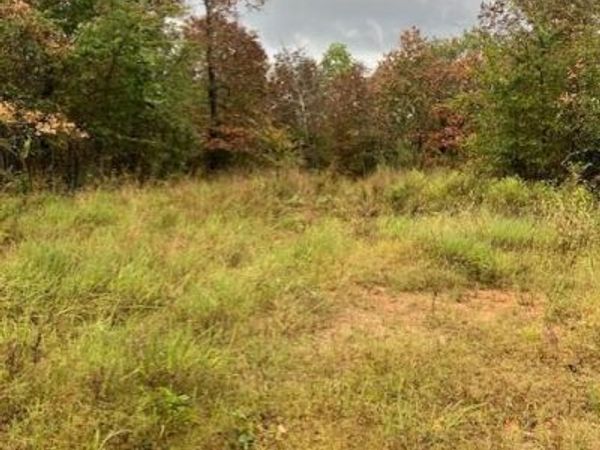 43 Madison CR 410, Fredericktown, MO 63645