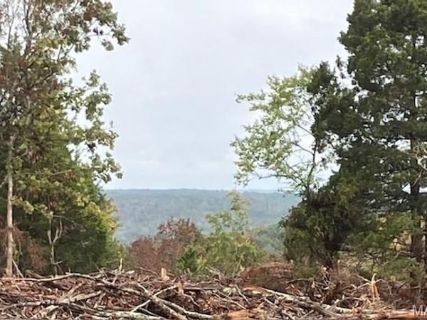 46 Madison CR 410, Fredericktown, MO 63645