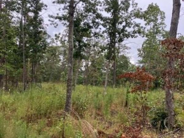 44 Madison CR 410, Fredericktown, MO 63645