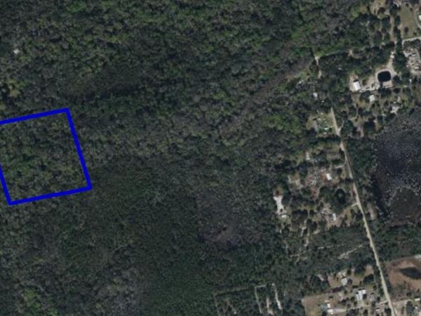 095 PINE NEEDLE ROAD, MIMS, FL 32754