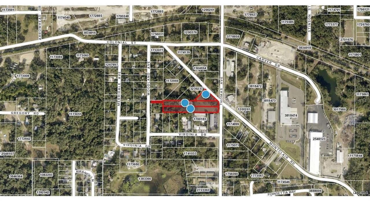 2409 Montclair Road, Leesburg, FL 34748