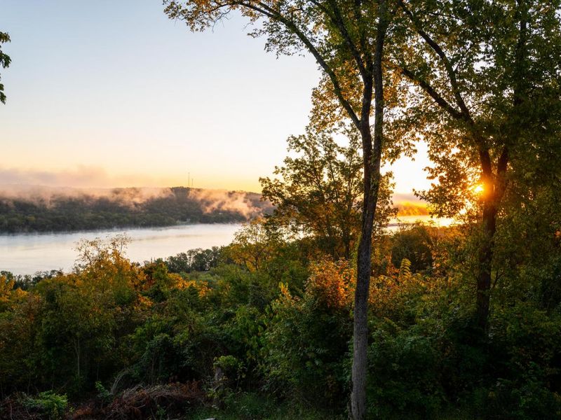 1941 Bradford Road, Foster, KY 41043 Photo 48