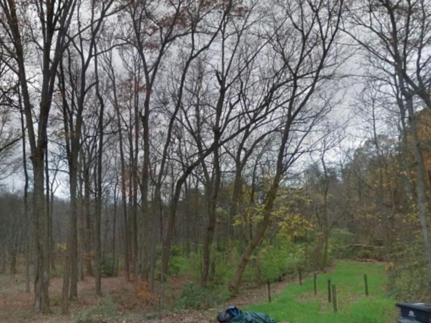 6708 1st Street, Riverdale, MD 20737 Main Photo