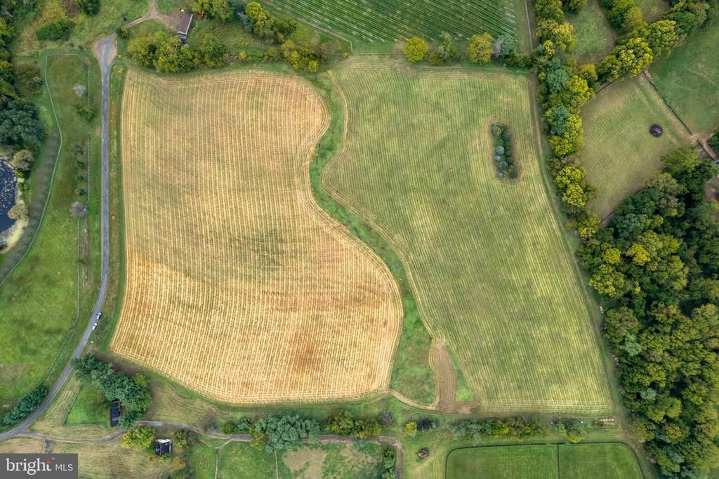 20.17 Acres Hedgeland Lane, Waterford, VA 20197 Main Photo