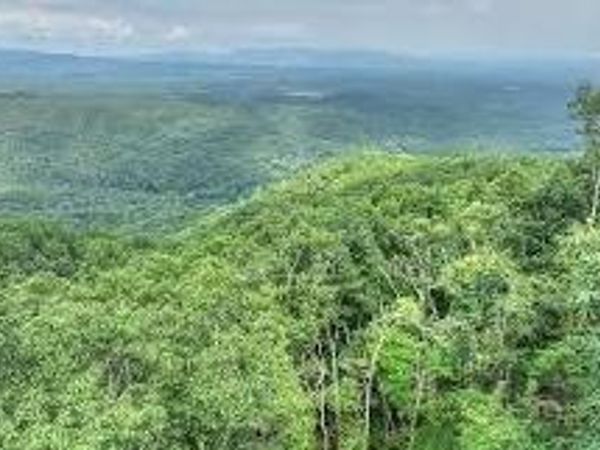 Lot 34 Lt 34 Utana Bluffs, East Ellijay, GA 30540