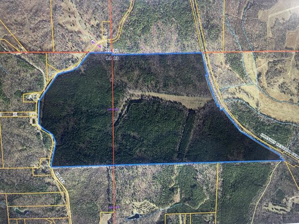 CR 343, Glen, MS 38846