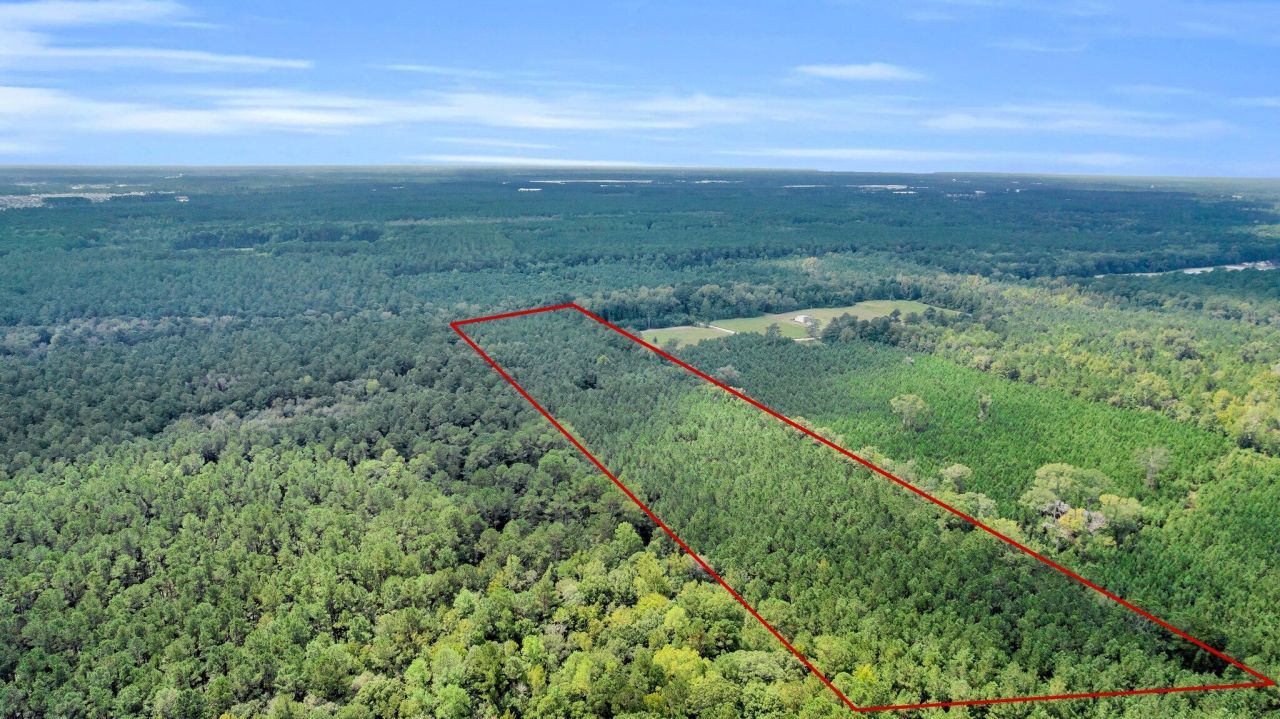 0 Sheep Island Road Photo 12