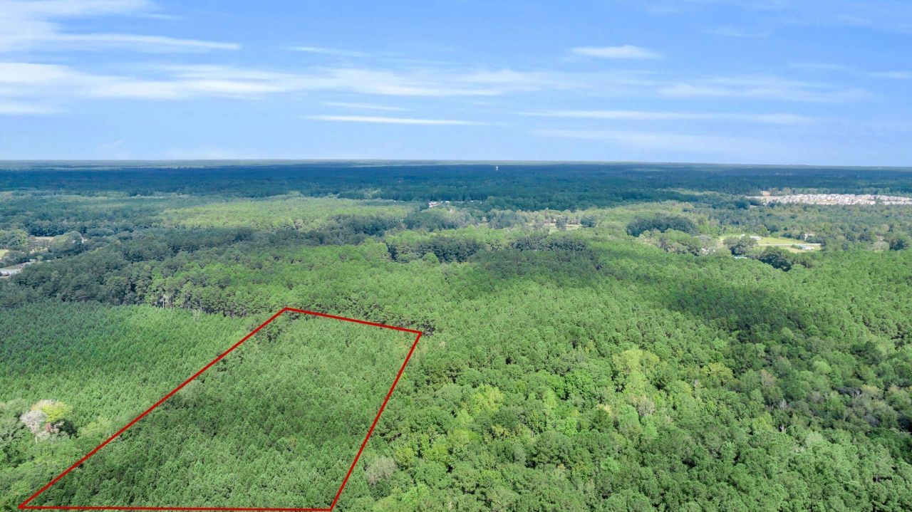 0 Sheep Island Road Photo 4