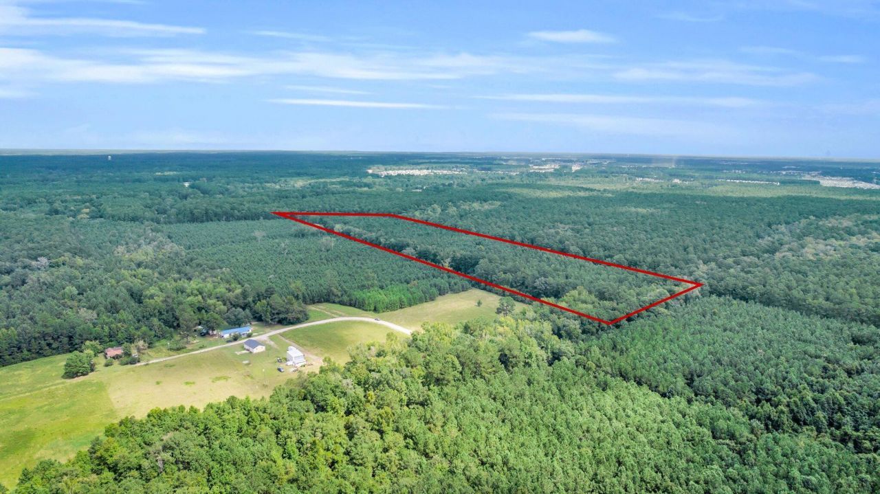 0 Sheep Island Road Photo 7