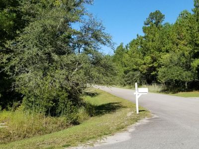 0 Watershed Court, Walterboro, SC 29488