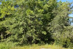 0 Watershed Court photo 4