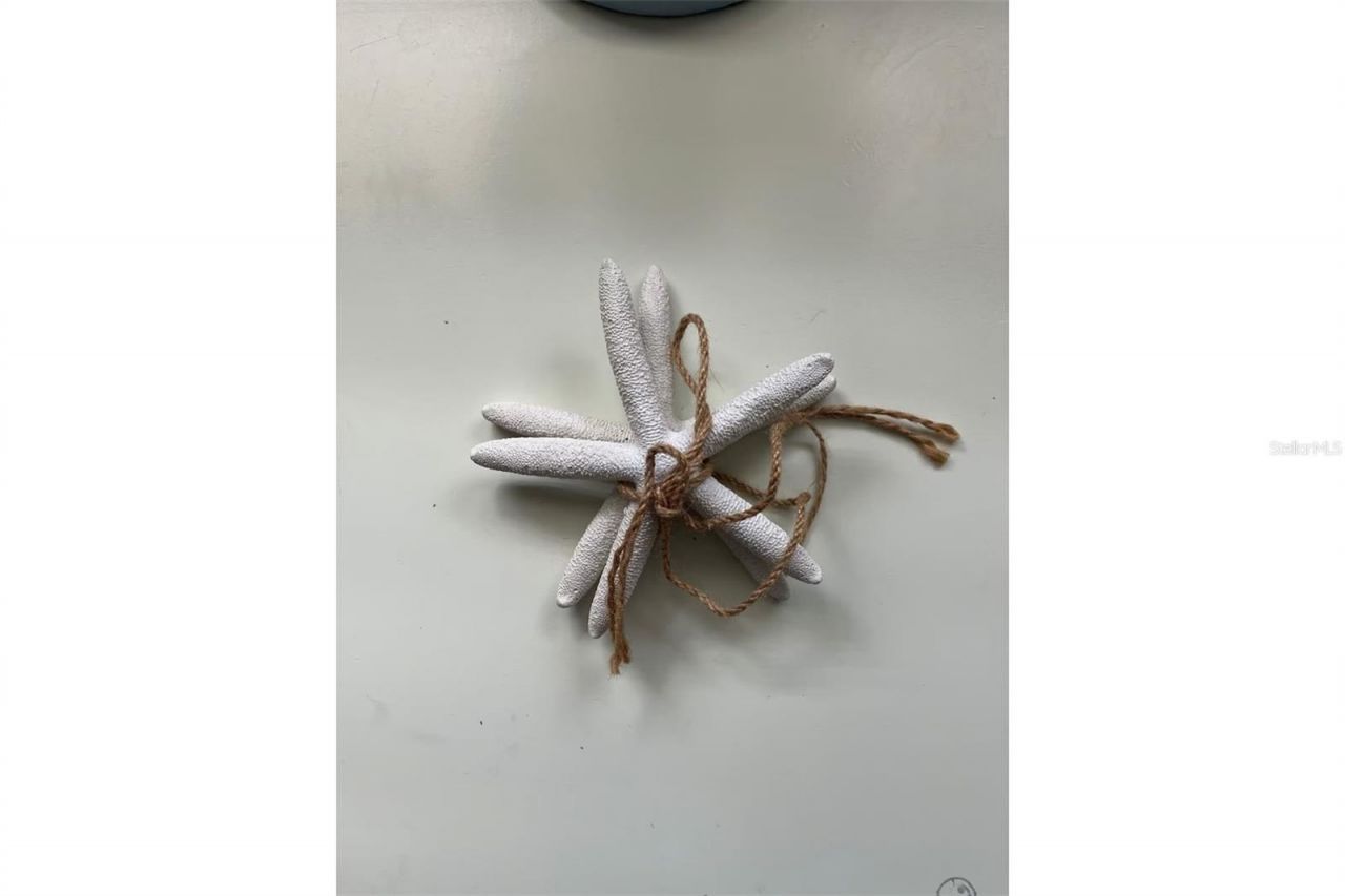 345 Avenida Leona, Sarasota, FL 34242 Photo