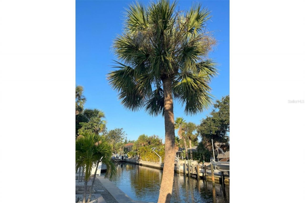 345 Avenida Leona, Sarasota, FL 34242 Photo