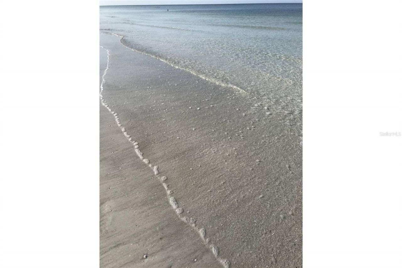 345 Avenida Leona, Sarasota, FL 34242 Photo