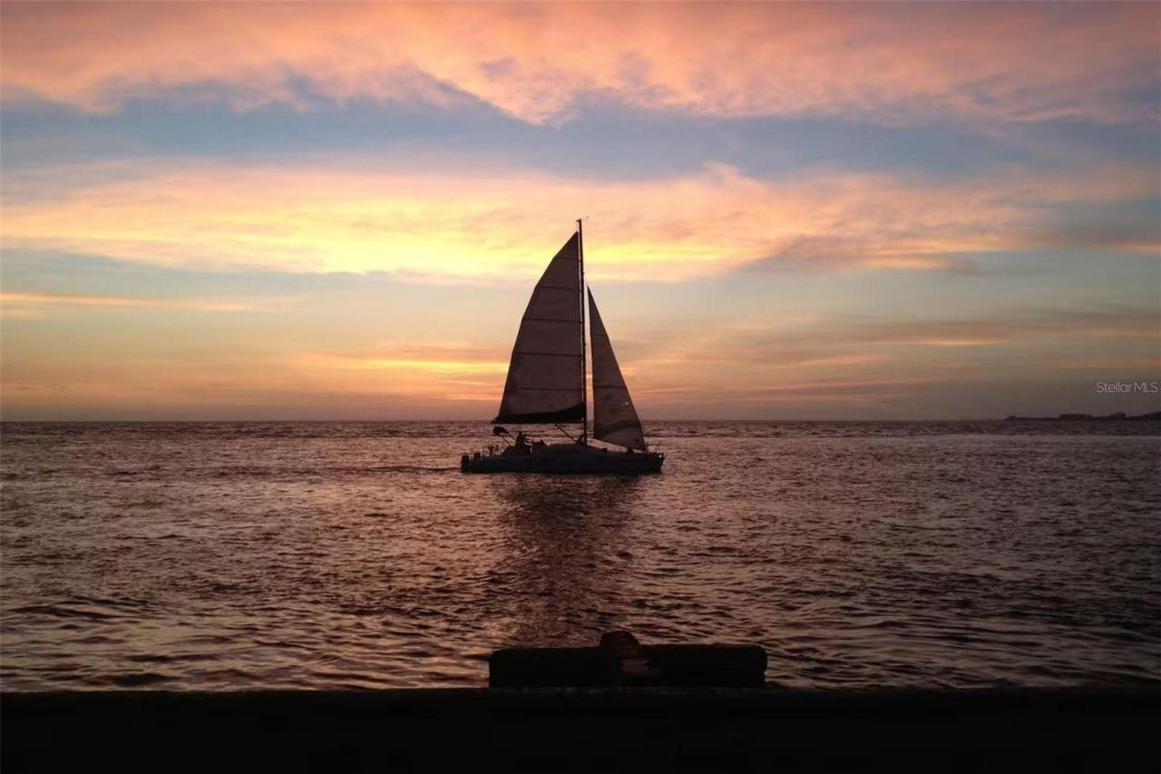 345 Avenida Leona, Sarasota, FL 34242 Photo