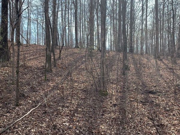 1385 Ridgewood Drive, Mc Ewen, TN 37101