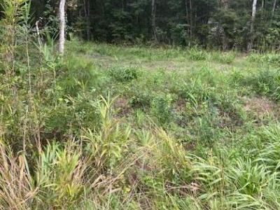 6572 N Hwy 17, Awendaw, SC 29429