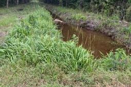 6572 N Hwy 17 photo 4