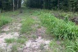 6572 N Hwy 17 photo 4