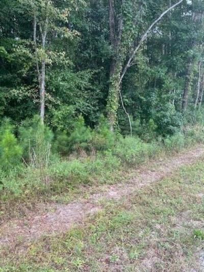 6572 N Hwy 17 Photo 4