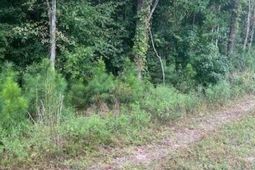 6572 N Hwy 17 photo 4